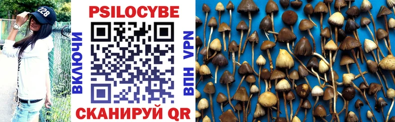 Псилоцибиновые грибы Psilocybine cubensis Подольск
