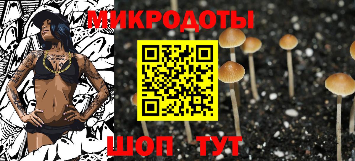 Псилоцибиновые грибы MAGIC MUSHROOMS  Вход с VPN  Подольск 